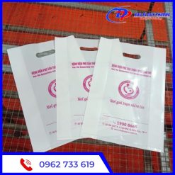In Túi PE Giá Rẻ Tại TPHCM