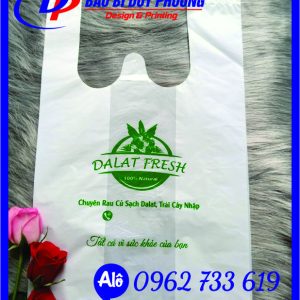 In Túi Xốp Hai Quai Đựng Trái cây
