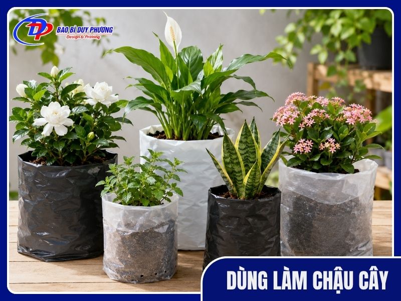 Dùng túi ni lông tái chế thành chậu đựng cây
