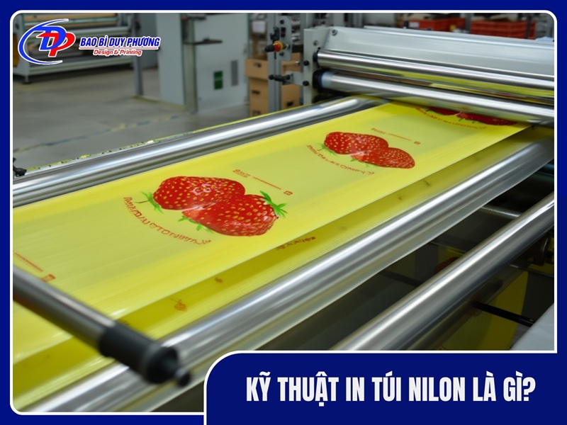 Ky thuat in tui nilon la gi