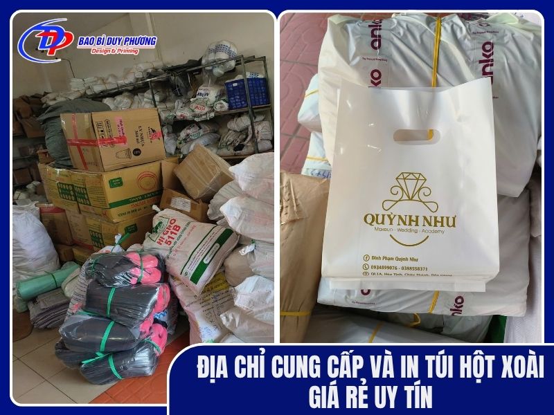 xưởng in túi hột xoài giá rẻ tại In Bao Bì Duy Phương