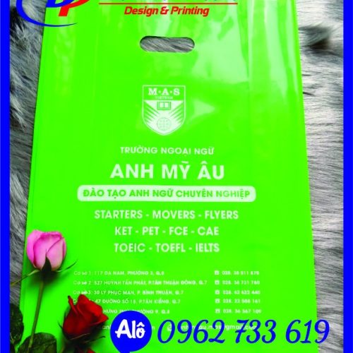 Xưởng in túi hột xoài hcm