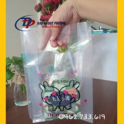 Túi Pe Trong Suốt Đựng Mỹ Phẩm