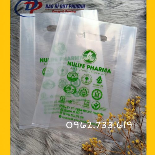 Thiết kế in túi ni long theo yêu cầu