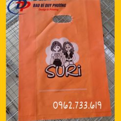 In túi Nilon