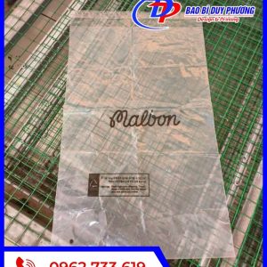 Gioi thieu ve tui trong dan mieng dung quan ao