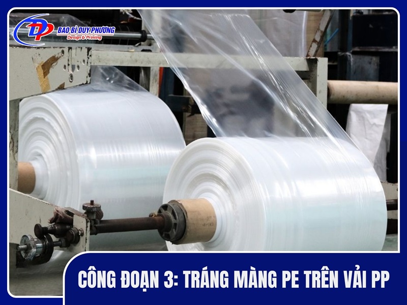 Công đoạn 3: Tráng màng PE trên vải PP