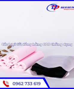 cac loai tui dong hang cod thong dung