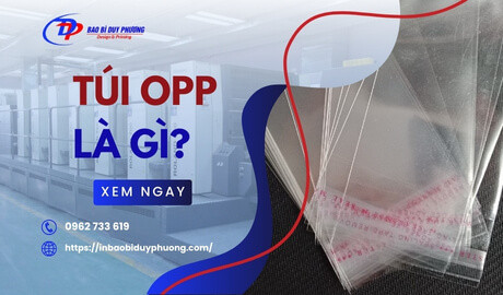 Túi OPP Là Gì? Các Loại Túi OPP Phổ Biến Nhất