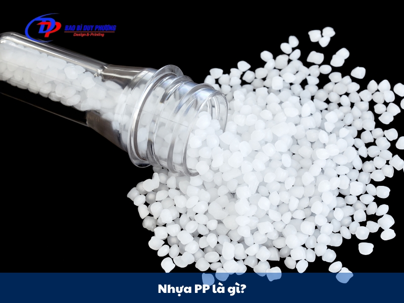 nhua pp la gi