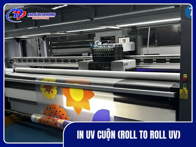 In UV cuon Roll to Roll UV