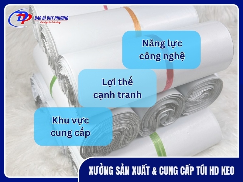 Xuong san xuat va cung cap tui HD keo chat luong gia re tai HCM