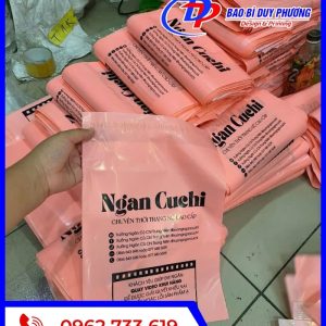 Mau tui HD keo in logo hai mat