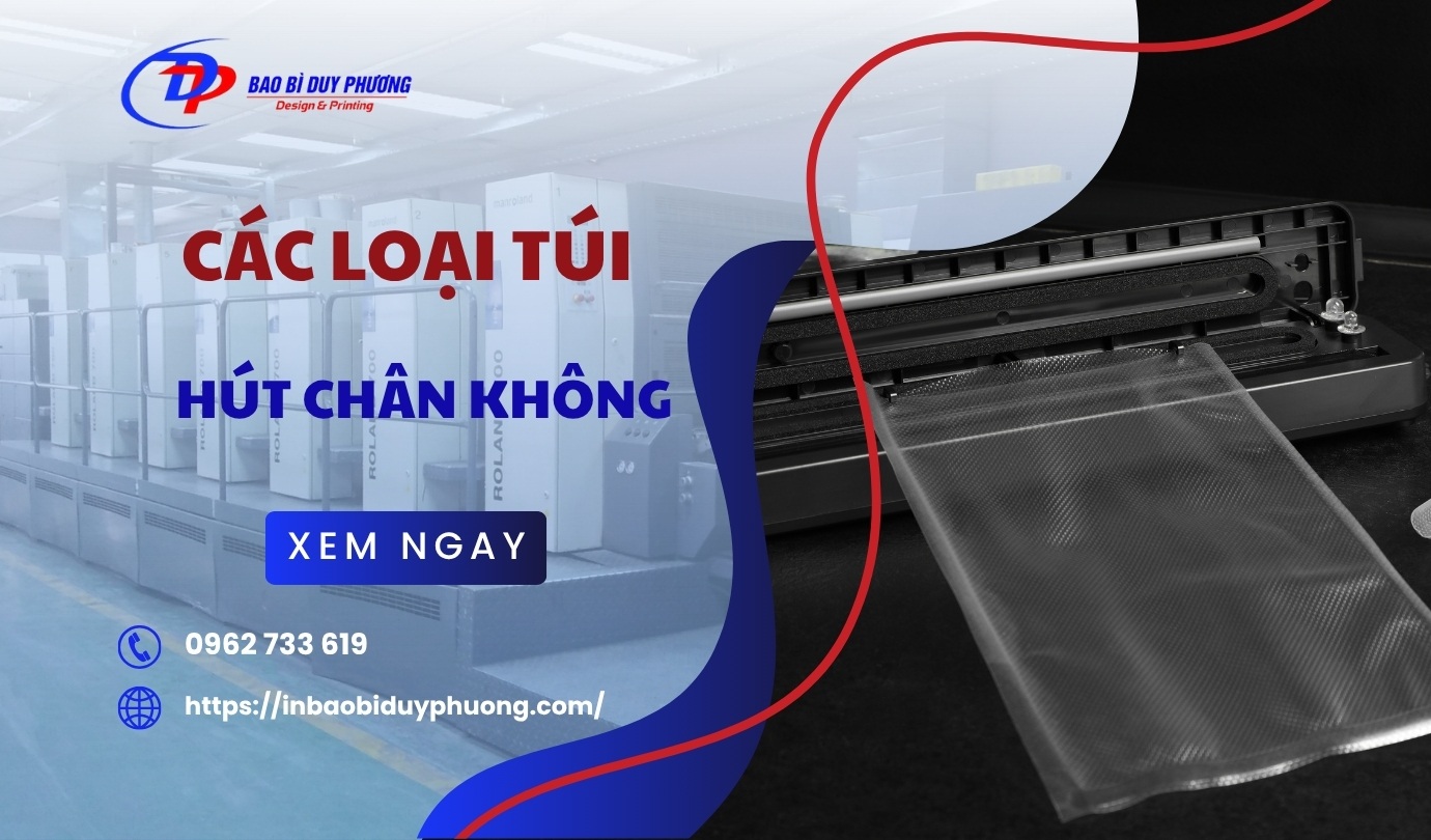 cac loai tui hut chan khong