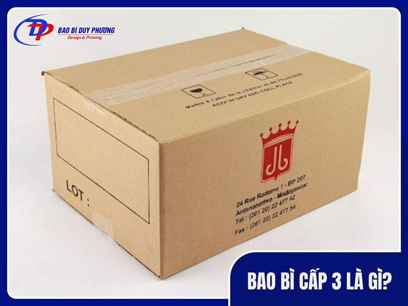 Bao bì cấp 3 là gì?