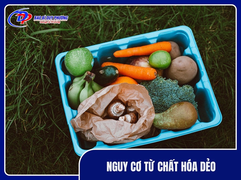 Nguy cơ từ chất hóa dẻo