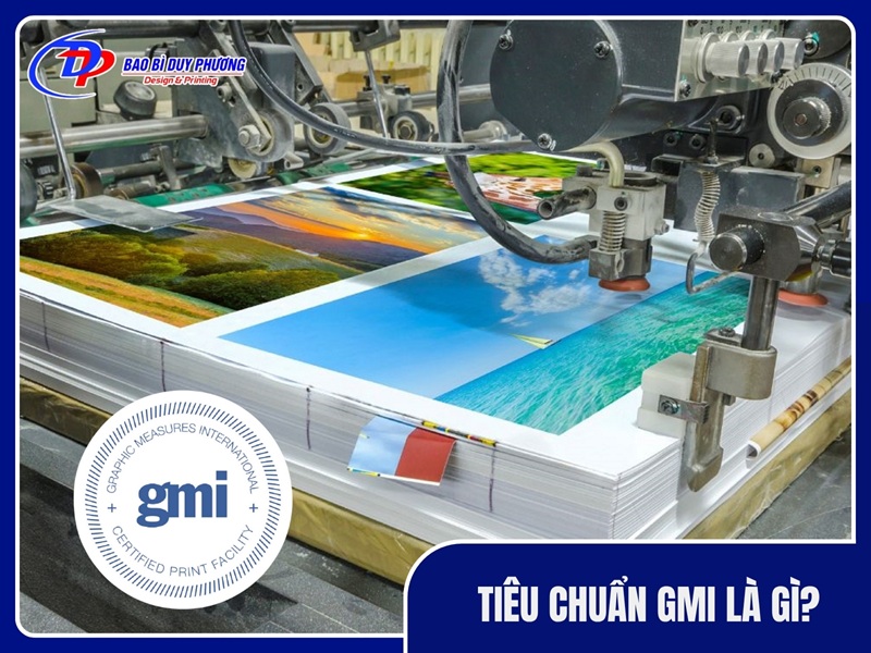 Tiêu chuẩn GMI là gì?