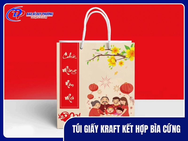 Túi giấy kraft kết hợp bìa cứng