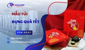 99+ mẫu túi đựng quà Tết đẹp mắt Ý NGHĨA sang trọng