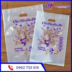 Tui nilon dung qua tet