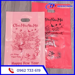 Tui nilon dung qua tet