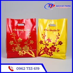 Tui nilon dung qua tet