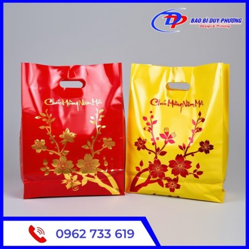 Tui nilon dung qua tet