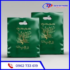 Tui nilon dung qua tet