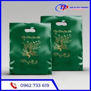 Tui nilon dung qua tet