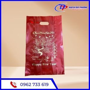 Tui nilon dung qua tet