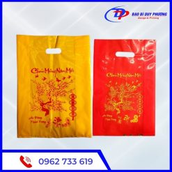 Tui nilon dung qua tet