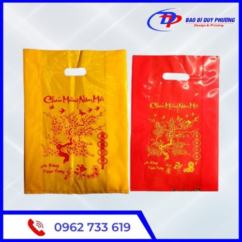 Tui nilon dung qua tet