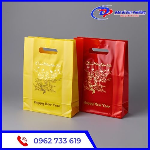 Tui nilon dung qua tet