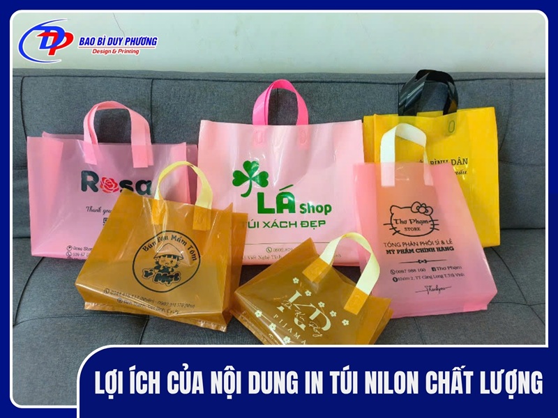 Loi ich cua noi dung in tui nilon chat luong