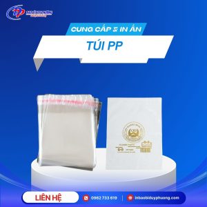 In Túi PP