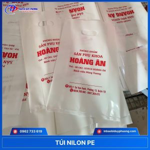 Mẫu túi hạt xoài PE in logo biQuaanj 4