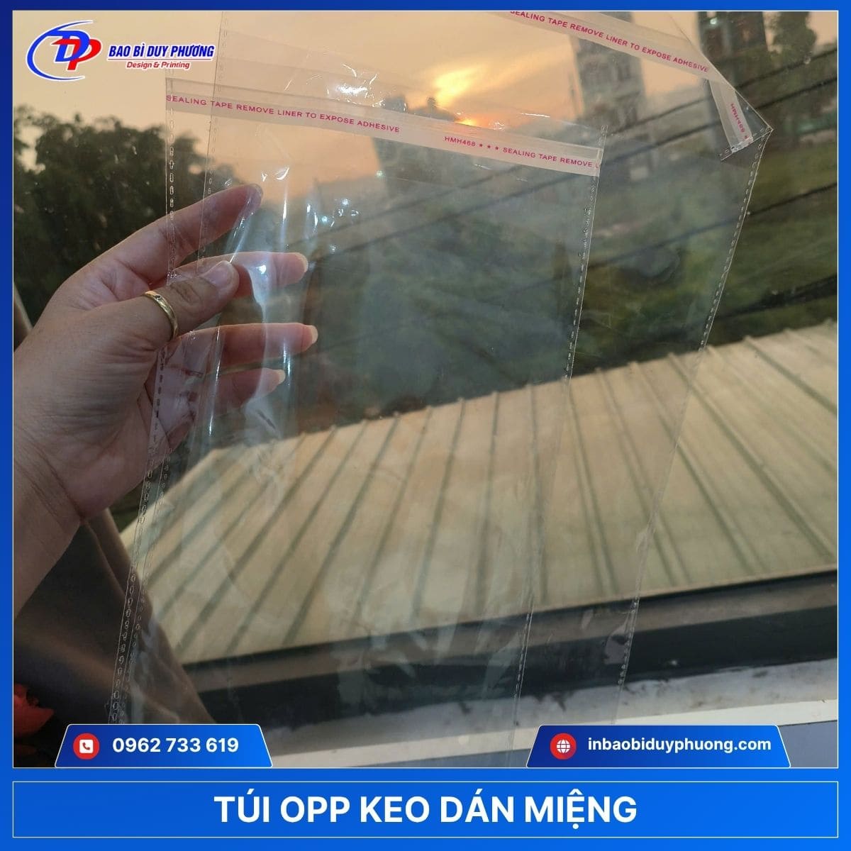 mẫu túi ni lông opp keo dán miệng