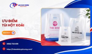 ưu điểm của túi hột xoài