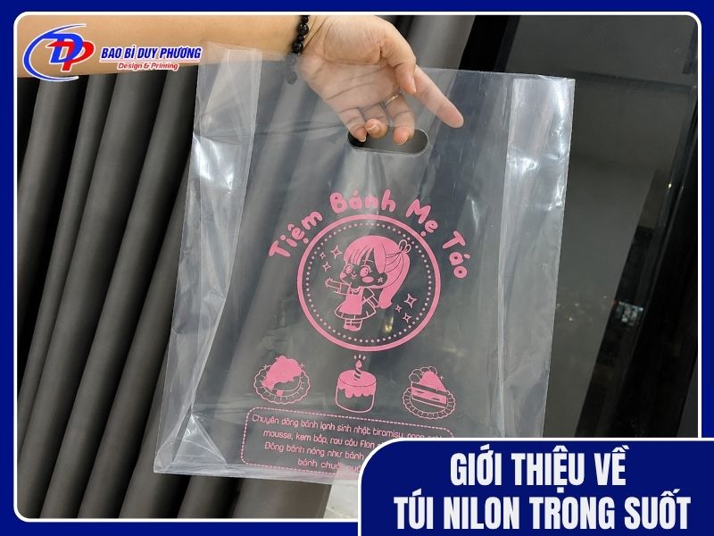 Đặc điểm và cấu tạo cơ bán của túi nhựa ni lông trong suốt